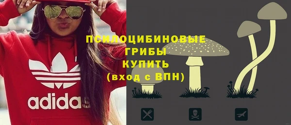 спайс Алексеевка