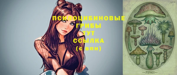 гашиш Алексин