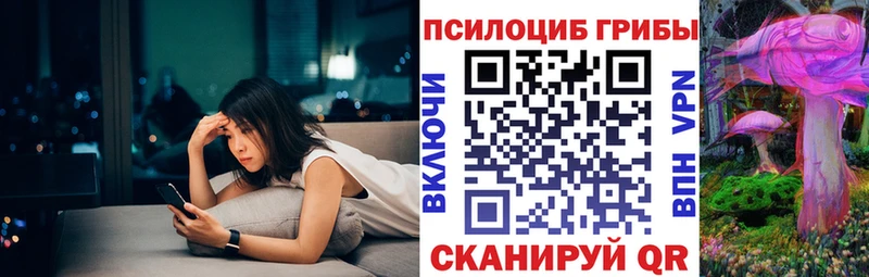 где можно купить наркотик  Лермонтов  Псилоцибиновые грибы Psilocybine cubensis 