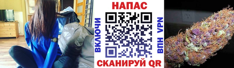 Каннабис конопля Лермонтов